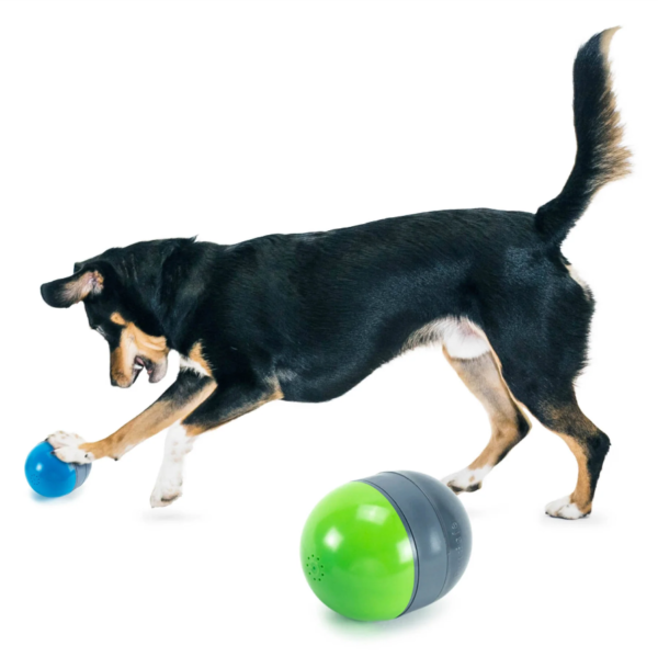 Ricochet Interactive Electronic Dog Toy