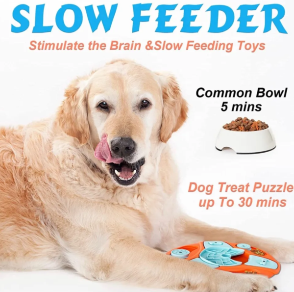 IQ Training and Cognitive Development: Brain-Boosting Dog Food Puzzle Toys - Image 5