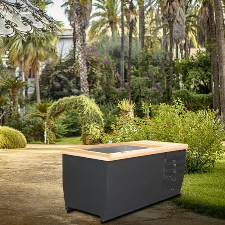 Anyi 110 Volt 1 – Person Solid Wood Rectangle Hot Tub - Image 5