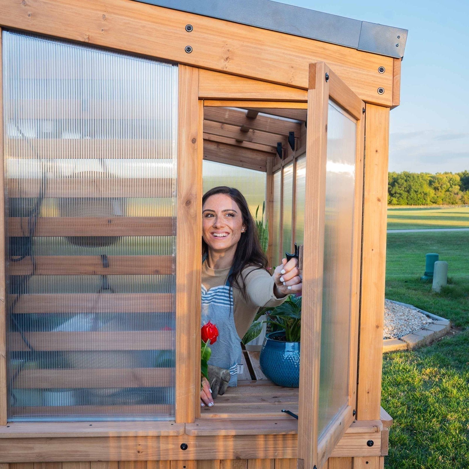 9×6 Willow Greenhouse - Image 10