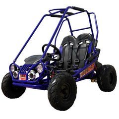 Trailmaster Mini XRX+ 2- Seater GO-KART EAGLE SERIES 163cc Blue - Image 8