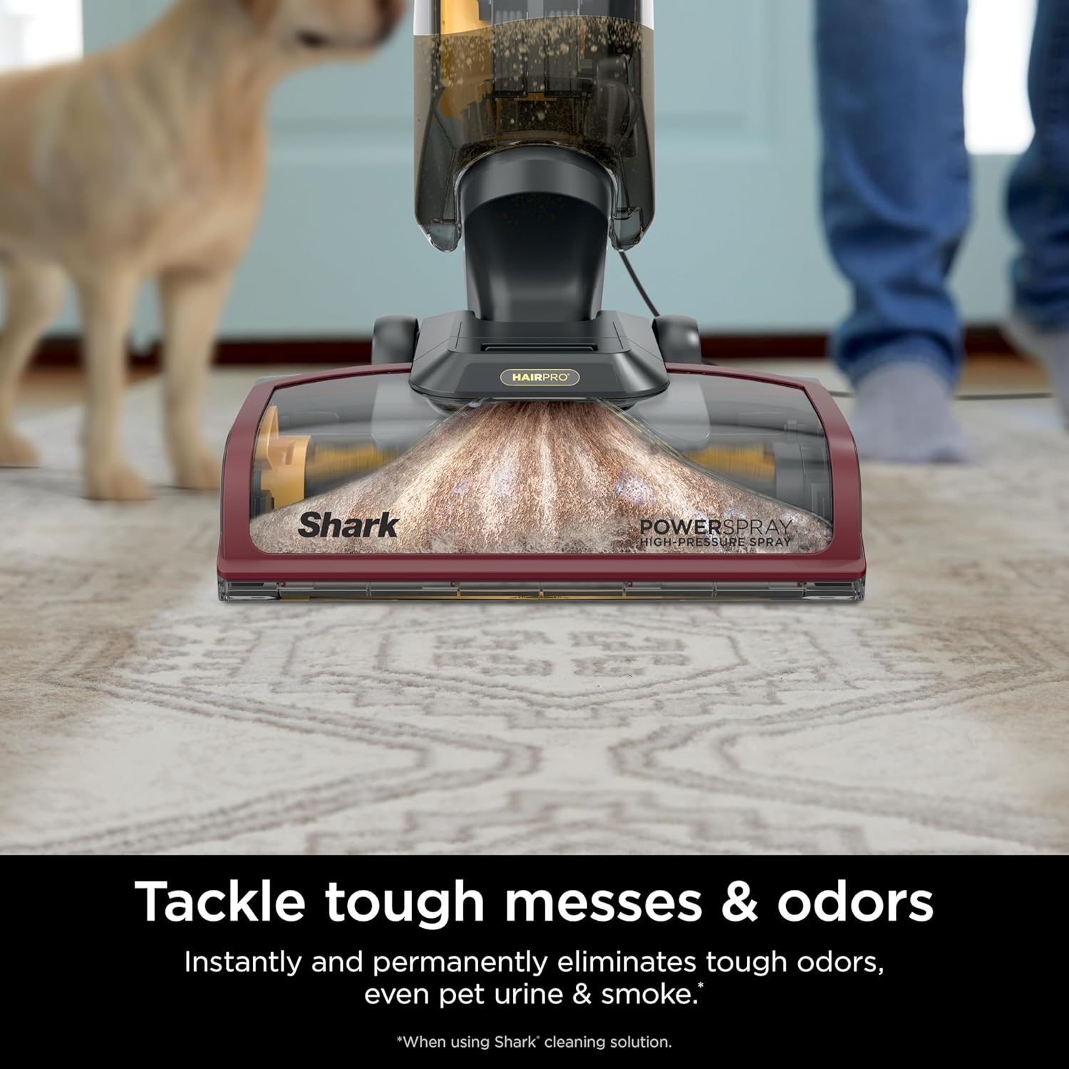 Shark CarpetXpert Carpet & Upholstery Cleaner with StainStriker, EX201 - Image 26