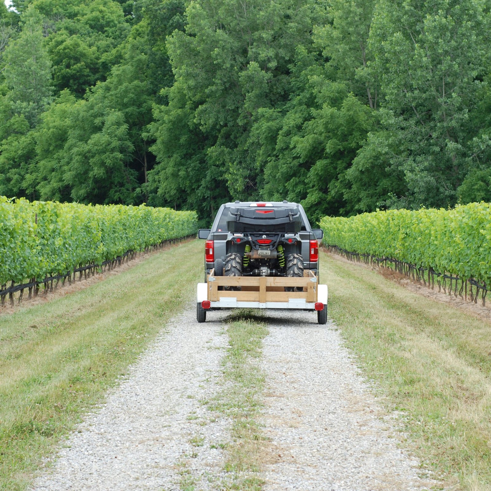 Stirling 5-ft x 8-ft Steel Utility Trailer ( 1250-lb Capacity ) 5266161 - Image 9