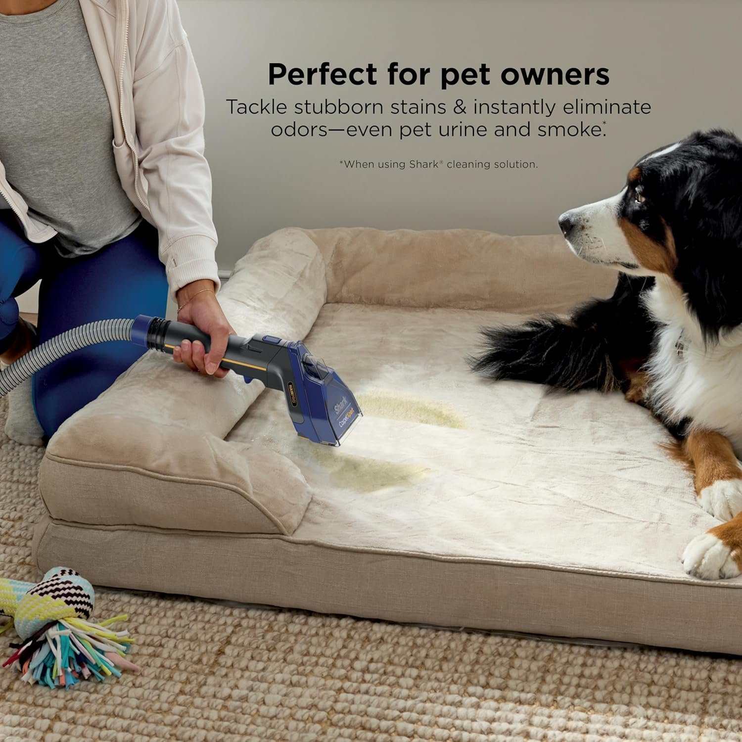 Shark CarpetXpert Carpet & Upholstery Cleaner with StainStriker, EX201 - Image 19